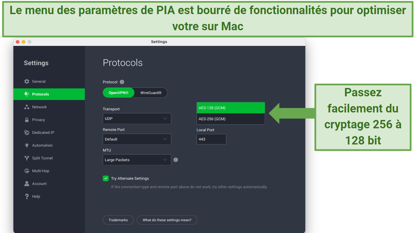 Screenshot showing how to toggle encryption levels on the PIA Settings menu