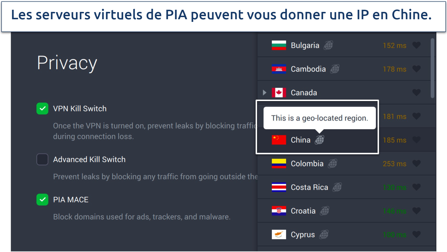 Capture d’écran des paramètres de confidentialité de PIA et des serveurs virtuels dans l’application