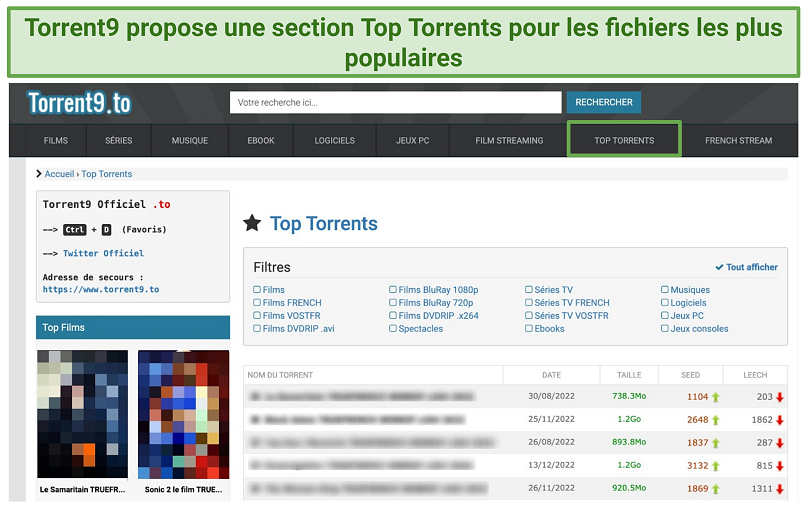 Capture d'écran du site web Torrent9