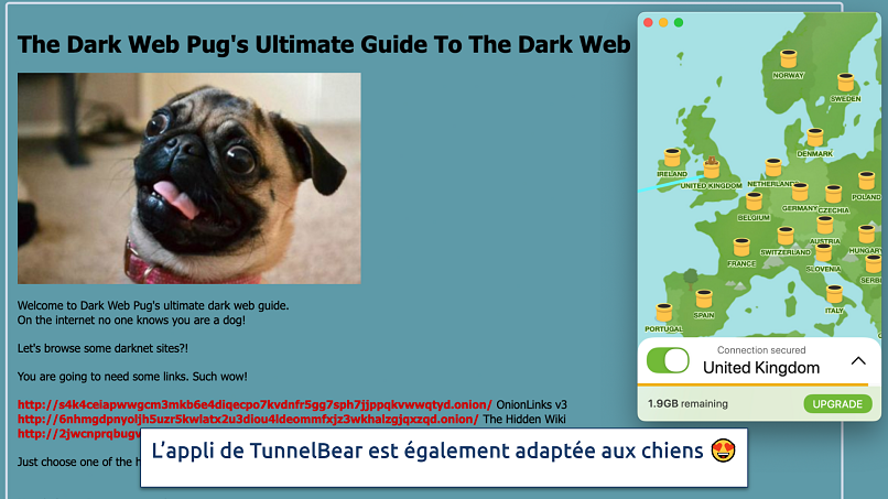 Screenshot showing TunnelBear's simple app over a dark web page