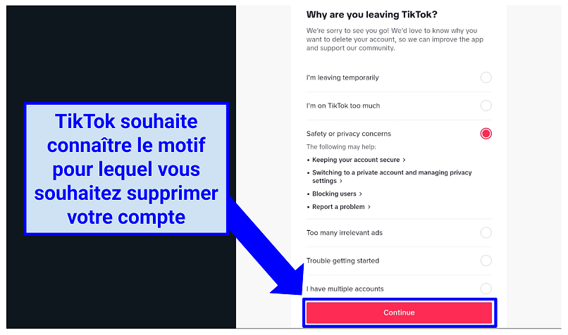 Screenshot of TikTok questionnaire before deletion