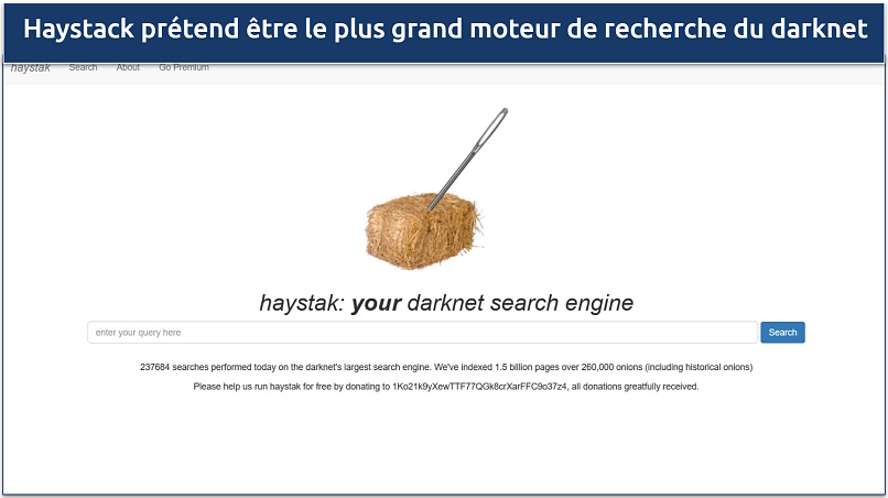 Image showing the landing page of Haystack browser