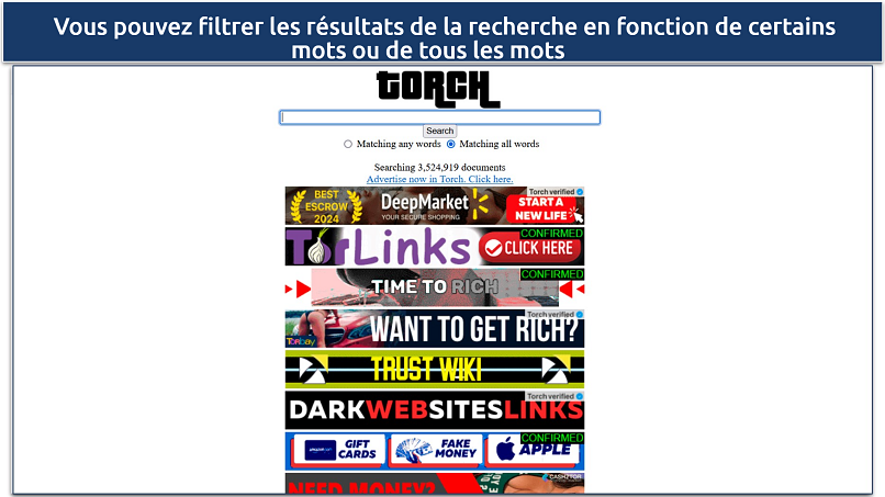 Image showing the landing page of Torch