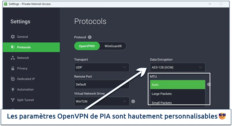 Screenshot showing the customization options on PIA's Settings menu