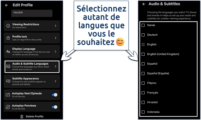 Screenshot of the Netflix mobile app language selection settings